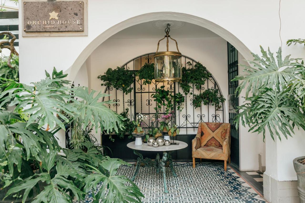 Готель Orchid House Polanco Мехіко Екстер'єр фото