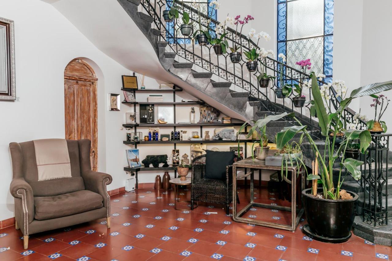 Готель Orchid House Polanco Мехіко Екстер'єр фото