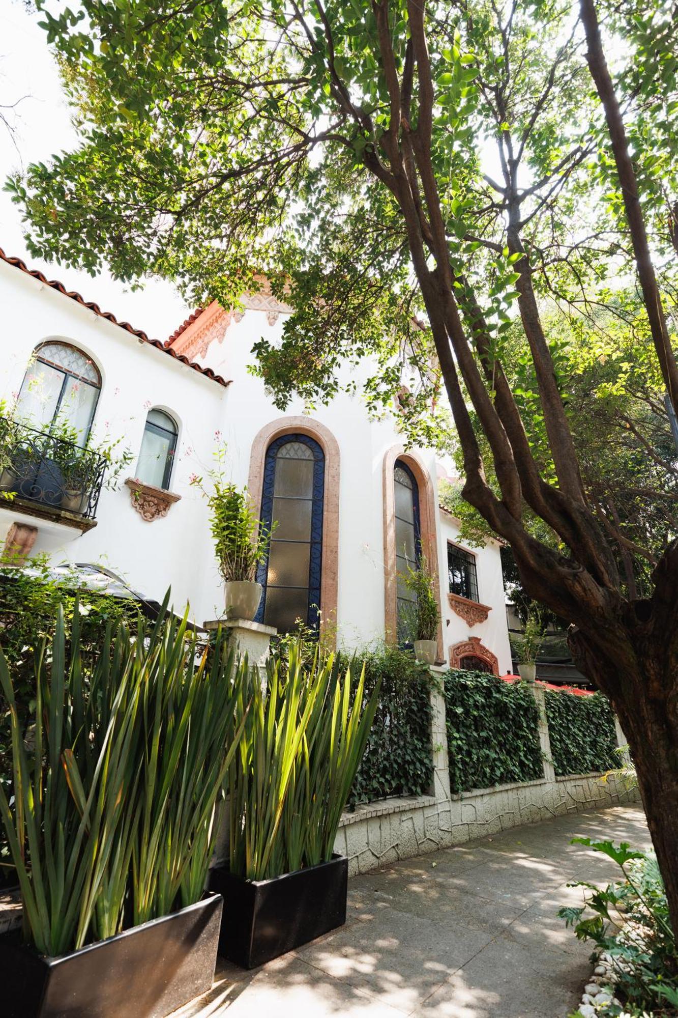 Готель Orchid House Polanco Мехіко Екстер'єр фото