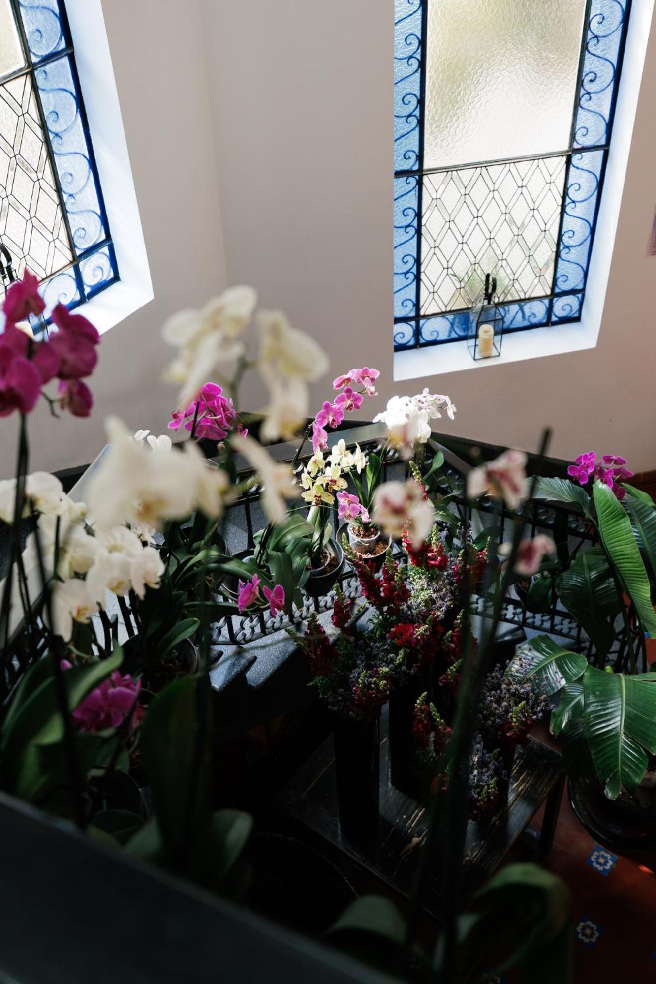 Готель Orchid House Polanco Мехіко Екстер'єр фото