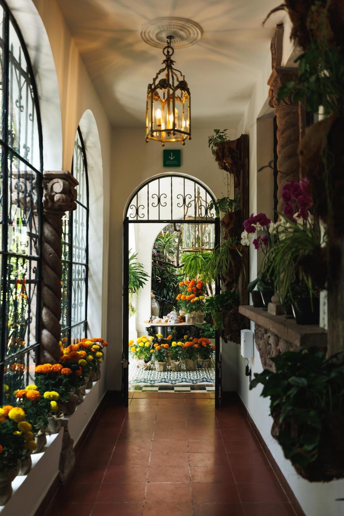 Готель Orchid House Polanco Мехіко Екстер'єр фото
