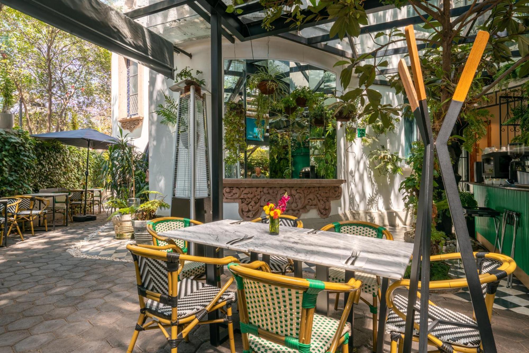 Готель Orchid House Polanco Мехіко Екстер'єр фото