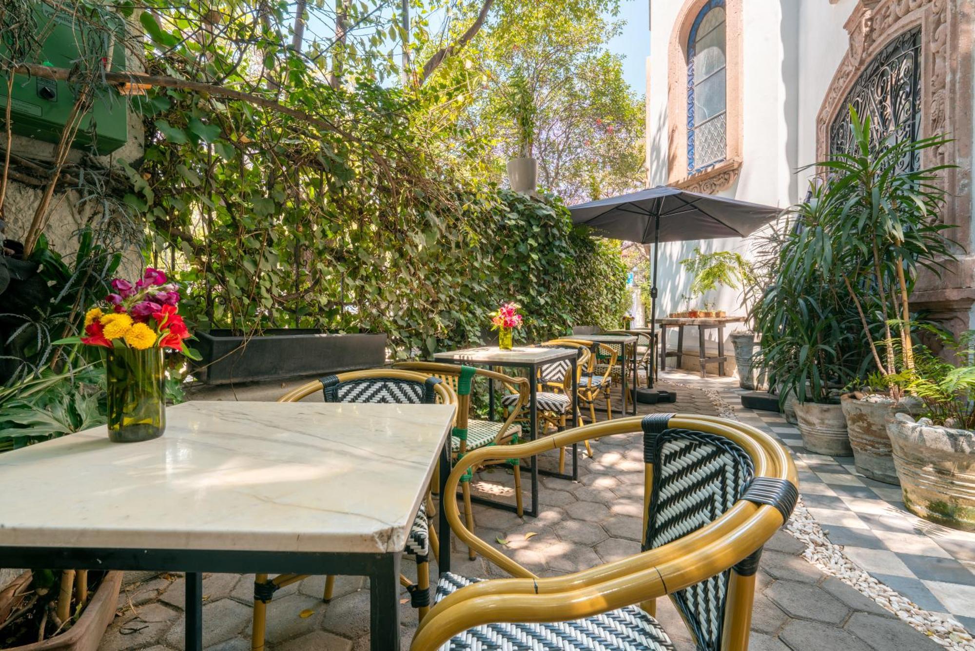 Готель Orchid House Polanco Мехіко Екстер'єр фото