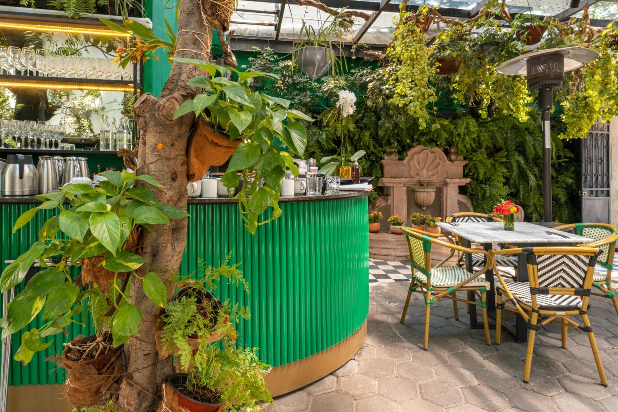 Готель Orchid House Polanco Мехіко Екстер'єр фото